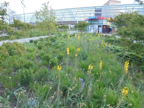 Barrio de Westerpark